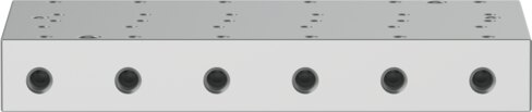 Manifold rail
