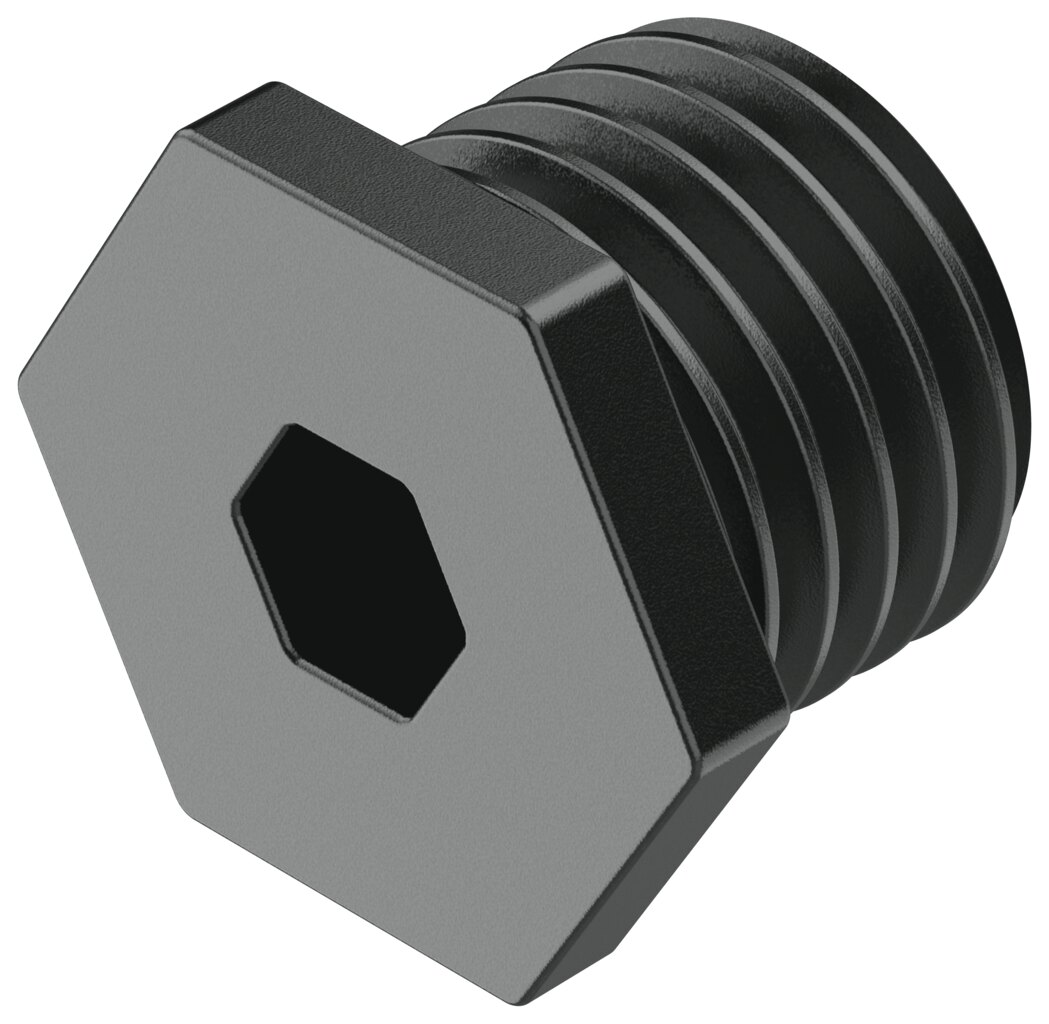 Plug screw