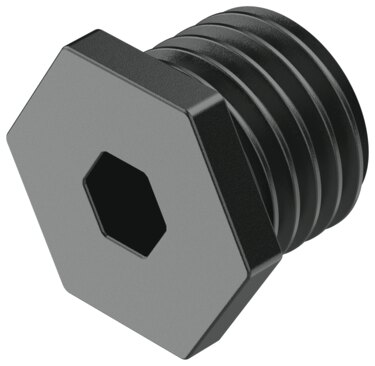 Plug screw