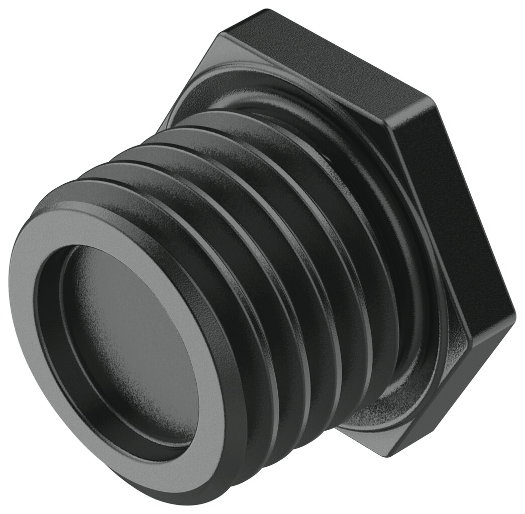Plug screw