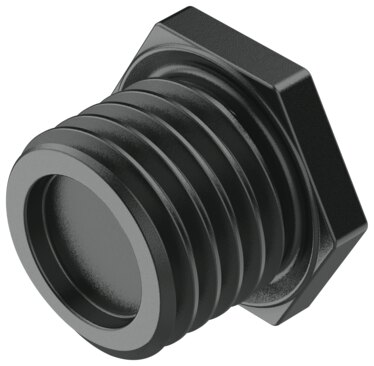 Plug screw