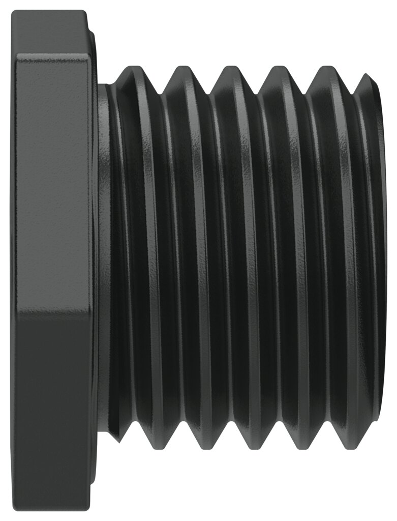 Plug screw