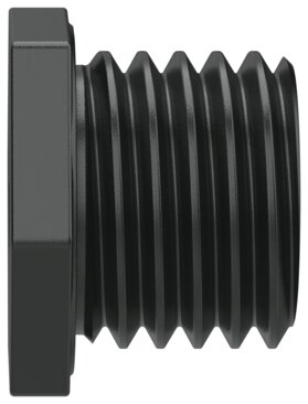Plug screw