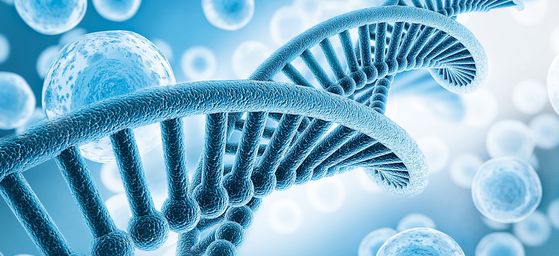 生命科技：DNA