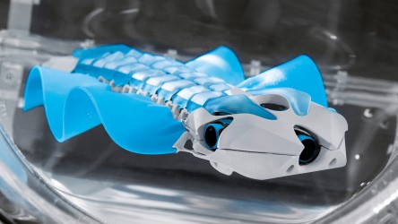 BionicFinWave：利用超声波实现无碰撞游动 