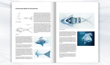 Airacuda brochure