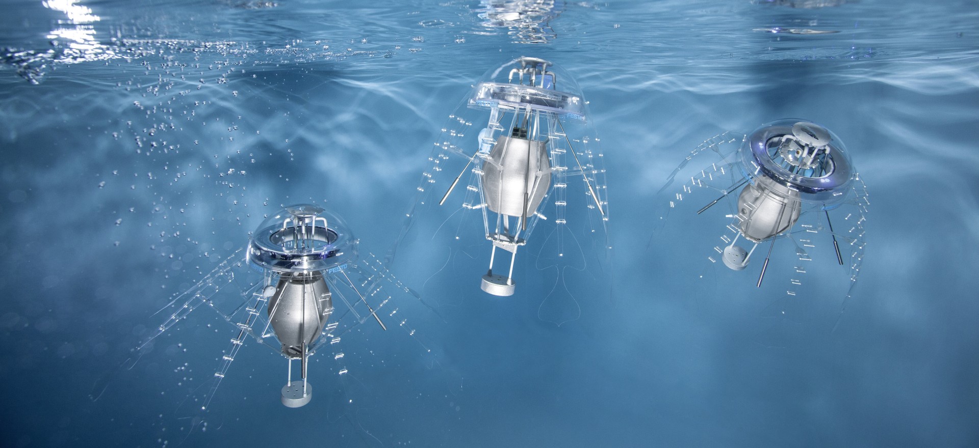 仿生水母 2.0:集体自主行为