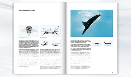 Aqua_ray brochure