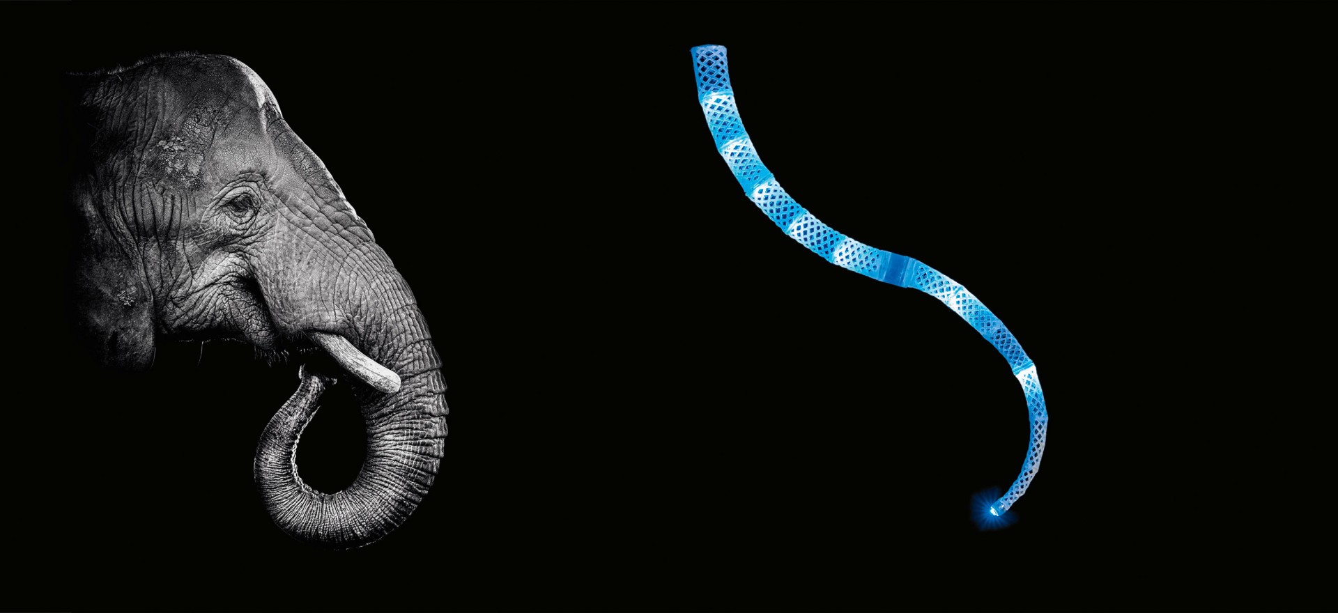 Robotic arm inspired sales by elephant trunk