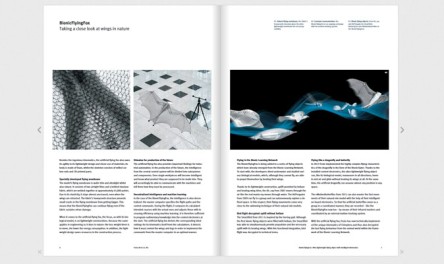 BionicFlyingFox brochure