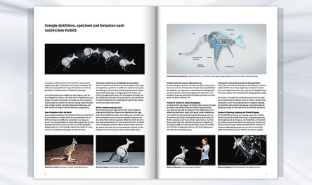 BionicKangaroo brochure