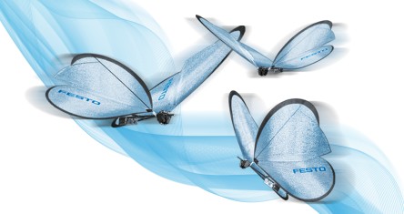 eMotionButterflies
