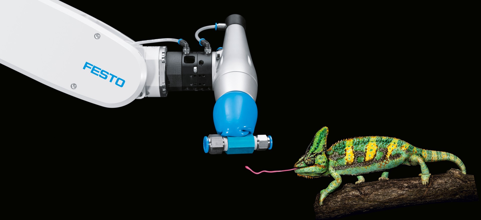 Festo FlexShapeGripper：基于变色龙舌头原型的抓握 