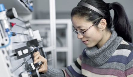 Festo national companies
