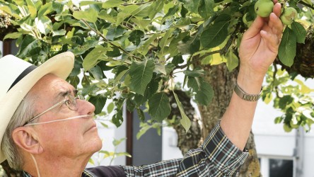 Mobile oxygen system devices improve the mental and physical ability of patients as well as their quality of life