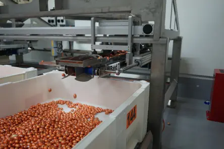 装在货箱中的 Mondelez 复活节彩蛋
