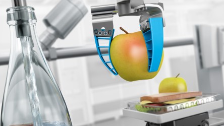 Food processing & packaging