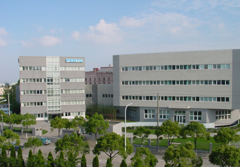 Festo China