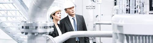 Festo competency